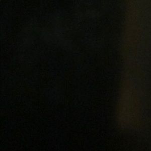 Meet your Posher, Will